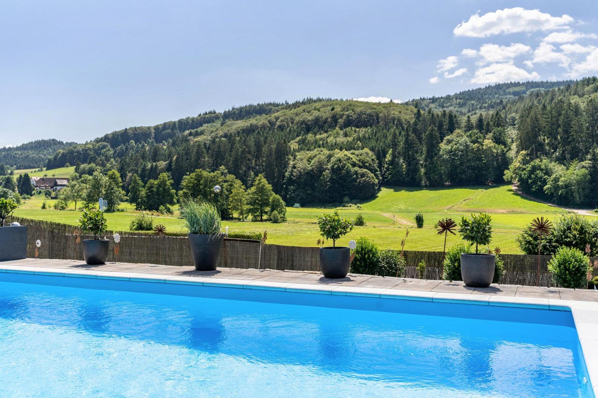 Ferienwohnung Geisbergblick Seelbach  Exterior foto